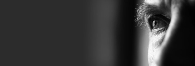 Vision Website Banner